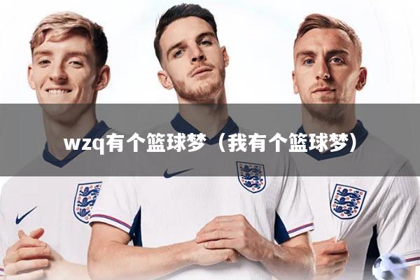 wzq有个篮球梦（我有个篮球梦）